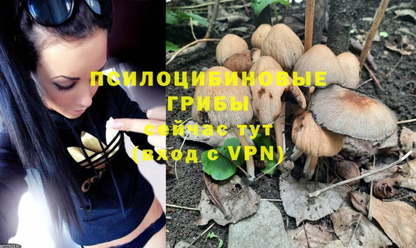 а пвп мука Балахна