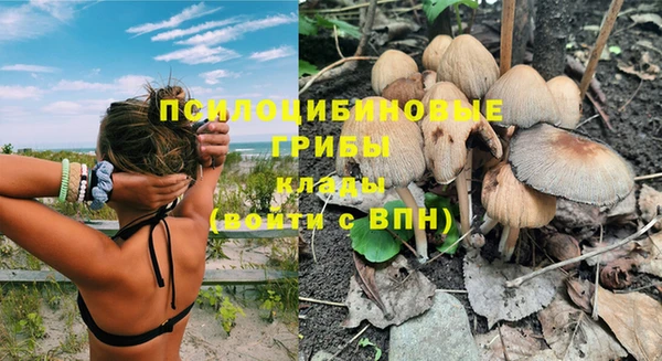 стаф Баксан