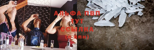 стаф Баксан