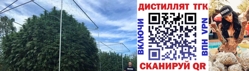 Дистиллят ТГК концентрат  купить  цена  Соль-Илецк 