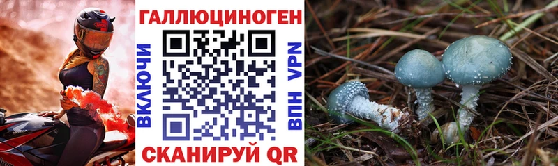 Галлюциногенные грибы мицелий  Соль-Илецк 