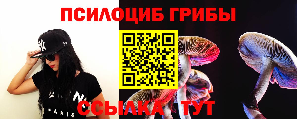 Псилоцибиновые грибы Magic Shrooms  Вход с VPN  Соль-Илецк  Псилоцибиновые грибы GOLDEN TEACHER 