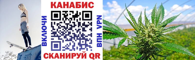 Конопля гибрид  Соль-Илецк 